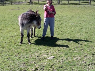 Palm Sunday Paper Crosses April 5th 2020