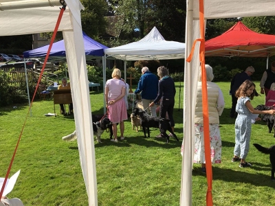 Holy Trinity Pet Service