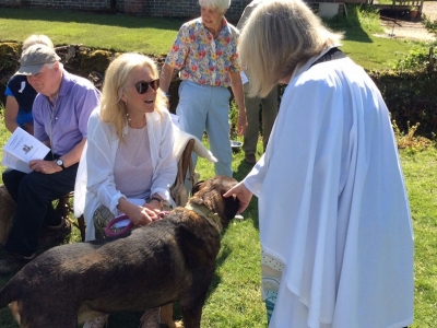Holy Trinity Pet Service